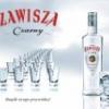 Zawisza